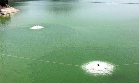 扬州大学研发出破坏蓝藻水泡的“节育”新技术