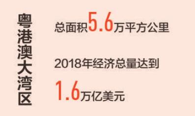 国家实验室开放、学科中心开放，共建国际大湾区