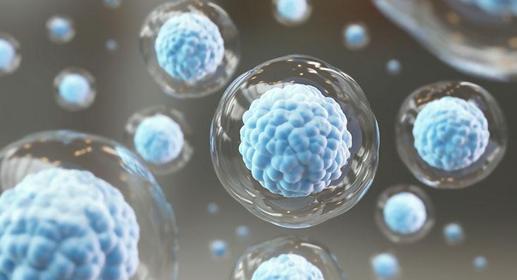 干细胞领域多了6项标准，生命科学规范空白不断添补