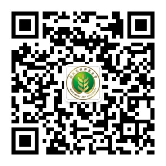 千人计划网